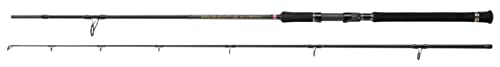 PENN Regiment III Spin and Pilk - Jigging- und Spinnrute für das Boots- und Kajakangeln - Dorsch, Barsch, Pollack, Lippfisch, Köhler, 2.74m|40-120g