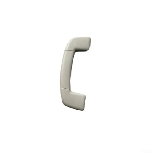 TIANHENGMart Deckengriff für Modelle für Tiguan L & Golf 7, nicht verformendes Design mit OEM-Nummern 5NG857607A & 5NG857643A (Front-5NG857607A)