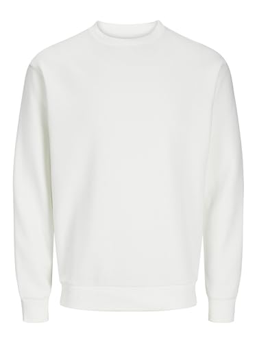 JACK & JONES JJEBRADLEY Sweat Crew NOOS