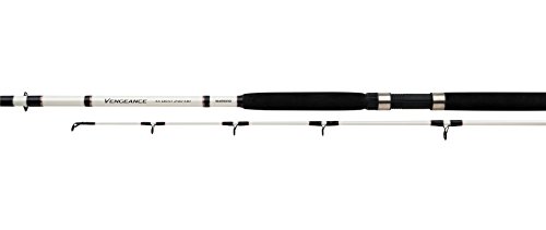 Shimano Vengeance AX Boat, 300 gr, Gr. 2.70 m