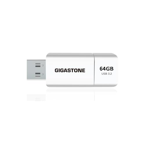 GIGASTONE 64 GB Flash-Laufwerk, Z60 USB 3.2 Gen 1, 100 MB/s ultraschnell, einziehbares kappenloses Schieber-Design, Datenspeicherung, Sicherung für PC/Mac/TV/Auto-Audio, USB 2.0/3.0/3.1 kompatibel