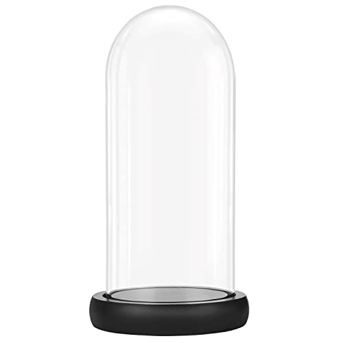 BELLE VOUS Glasglocke Deko mit Schwarzem Holzsockel - 26,5 cm Hoch - Klare Dekorative Glocke aus Glas mit Tablett für Lichterketten, Tafelschmuck und Antiquitäten