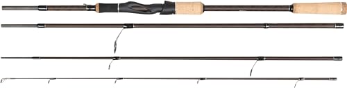 Abu Garcia Diplomat X 1005 MH 5-teilig Stationärrute 10' 15-40 g