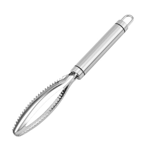 QHFlashbuy Fischentschupper,Fischentschupper Edelstahl,Profi Fisch Scaler Scraper,Fischschaber für Küche Fisch KüChenhelfer(25 * 3.7cm)