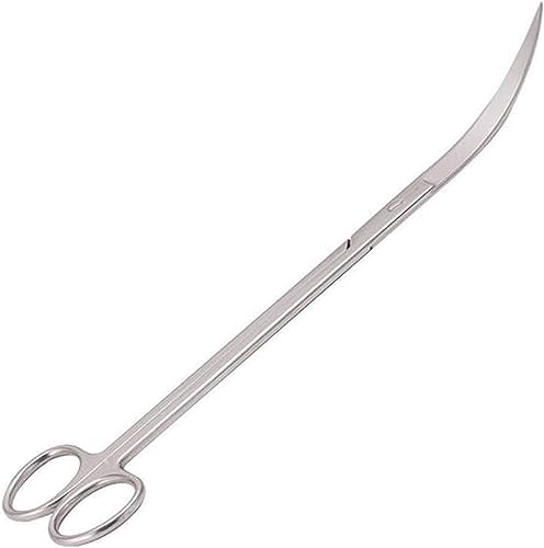 Faneli 25 cm Edelstahl Gebogene Spitze Schere Aquarium Tank, Edelstahl Aquarium Tank Wasserpflanze Zange Schere Werkzeug für Aquarium Pflanzen, Silber