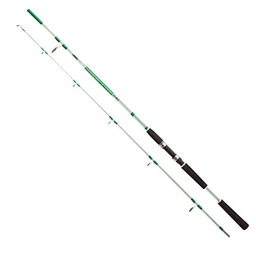 Jenzi Solid Pro aus Vollglas, 2,40 m, 30-80 g.