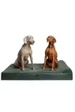 NOAH & PAW XL Hundebett, orthopädisches großes Hundebett, Eierschalen-Memory-Schaum mit Kühlgel, wasserdicht, maschinenwaschbar, inklusive Innenbezug (veganes Leder)