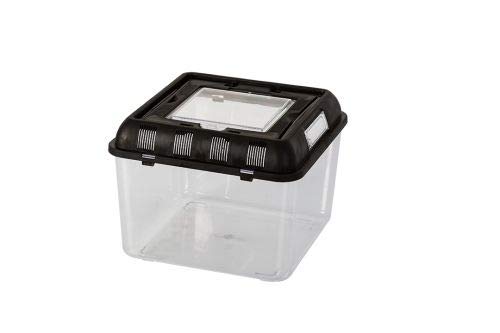 ReptiZoo Plastik Terrarium (Flat Box) small 26x26x20 cm (RT2002B)
