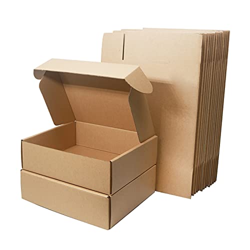 Klein Versandkartons für Postversand, 250x200x70mm Versandtaschen Warensendung, Braune Verpackungskartons für Geschäft, Aufbewahrung oder Geschenkbox, aus Wellpappe(10 Stück)