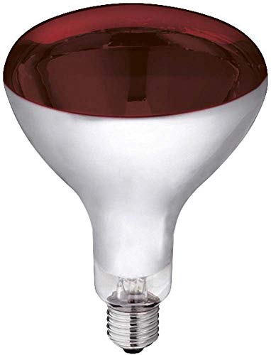 Kerbl Infrarotlampe rot (250 W, Wärmelampe für Schweine + Geflügel, Laufzeit max. 5000 Stunden, Lampensockel E27, Stalllampe) 22245