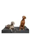 NOAH & PAW XL Hundebett, orthopädisches großes Hundebett, Eierschalen-Memory-Schaum mit Kühlgel, wasserdicht, maschinenwaschbar, inklusive Innenbezug (Kunstleder)
