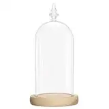 Belle Vous Glas Glocke Glaskuppel Groß mit Holzboden – 26,5cm Dekorative Glashaube Als Tischdeko, Deko Glas Kuppel Transparent Glasglocke, Glass Dome Cloche mit Boden für Lichter, Deko, Wohnaccessoire