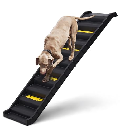 Hunderampe Auto Klappbar, Hundetreppe Für Kleine Große Hunde, rutschfeste Haustiertreppe für Bett, Sofa, Stabile Einstiegshilfe Rampe, Hundetreppe Auto Stufen für Auto Kofferraum bis 75 kg Schwarz