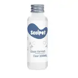 100ml Glasur für Ton Lufttrocknend, Gloss Varnish Air Dry Clay, Hochglanz, wasserdicht, kratzfest, Design für Lufttrocknender Ton Keramik