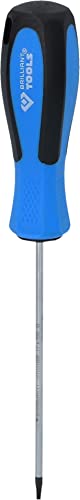 BRILLIANT TOOLS BT031039 Schraubendreher TORX, T8 x 100 mm [Powered by KS TOOLS]