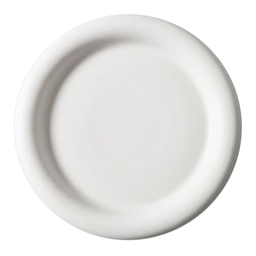 FUNNETOYU 1Stück Dickrandige Matte Teigwarenplatte Europäische Keramikplatte Für Steak Und Andere Westliche Speisen Mattweiß Für Pasta Und Servieren