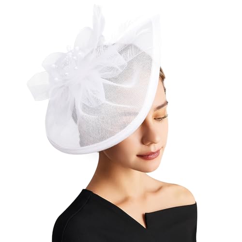 DRESHOW Fascinator Hüte für Damen Pillbox Hut mit Schleier Stirnband und Einer Gegabelten Clip Tea Party Kopfbedeckung