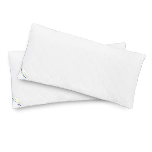 Lumaland hochwertiges Allergiker Kopfkissen Steppkissen kochfest atmungsaktiv mit Reißverschluss 2x 40 x 80 cm aus silikonisierten Polyesterhohlfaser-Flocken Füllgewicht 2x 800 g doppelseitig gesteppt
