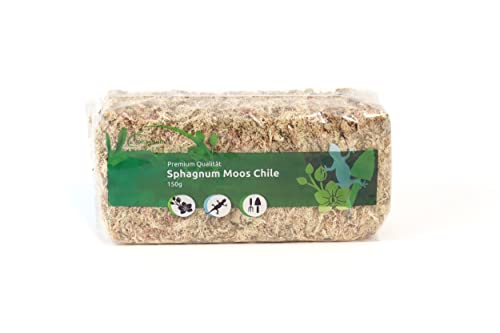Sphagnum Moos für Terrarium und Orchideen aus Chile 150 g für Orchideen & Terraristik - Ideal Substrat & Moosstäbe