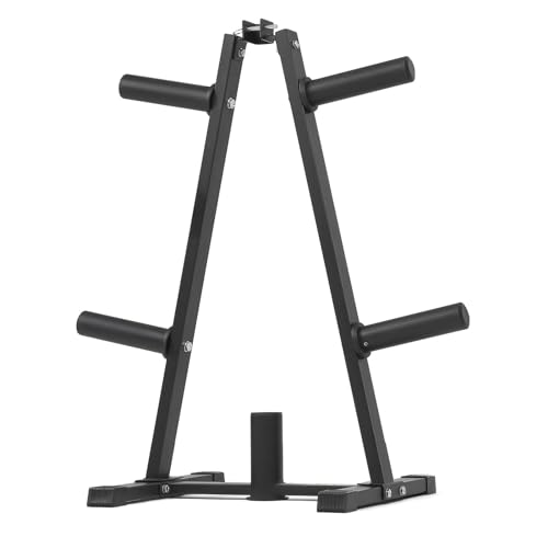 PhysKcal H1 Hantelscheiben Aufbewahrung, Rack für Stoßstangenplatten, Standardscheiben