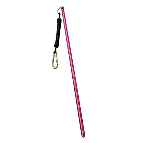 D DOLITY Aluminium Riffstab Taucher Zeigestab mit 34 cm Spiralverlängerung bis 65cm Karabinerhaken für Tauchen Schnorcheln Unterwasser Sport - Rose Rot