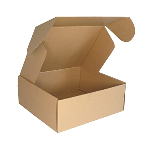 PACK4YA 250×200×100mm kleine Pakete für Versand versandbox Verpackungskartons faltkarton Versandkartons für die Verpackung päckchen kartonschachteln GLS DHL UPS Geschäft oder Geschenk (10 Stück)