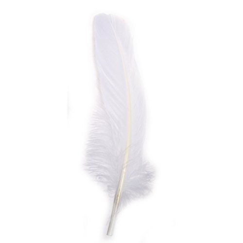 Rayher 85461102 Gänsefeder, 16-20 cm, SB-Btl 8Stück, weiÃŸ, Weiss/Opulenter Garten, White