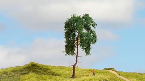 NOCH® Kiefer, detailgetreuer Modellbaum, 15 cm hoch perfekt für die Modelleisenbahn Spurweiten H0, TT, N, Z sowie zum Basteln, DIY und Wargaming