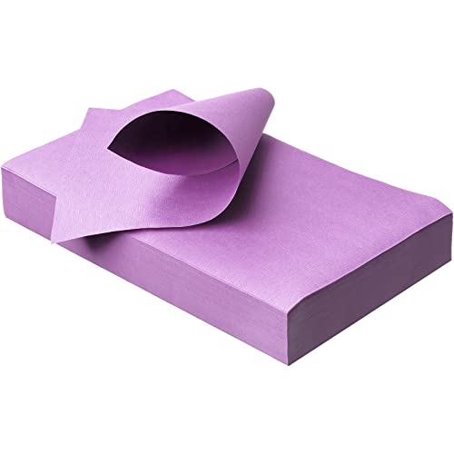 wellsamed Traypapier, Trayfilterpapier, Papiereinlagen, Trayauflage, 250 Blatt, 18 x 28 cm, lila