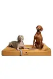 NOAH & PAW XL Hundebett, orthopädisches großes Hundebett, Eierschalen-Memory-Schaum mit Kühlgel, wasserdicht, maschinenwaschbar, inklusive Innenbezug (veganes Leder)