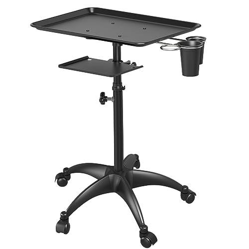Salon Rollwagen mit Ablagefläche und Stauraum, aus Aluminium, höhenverstellbarer Tattoo-Tablettwagen mit Rädern, Zubehör für Salon- und Spa-Dienstleistungen, Schwarz