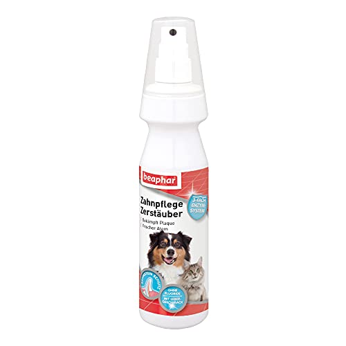BEAPHAR - Zahnpflege Zerstäuber Für Hunde Und Katzen - Frischer Atem - Mit Leber-Geschmack - Ohne Fluoride - Zahnpflege Ohne Zahnbürste - 150 ml