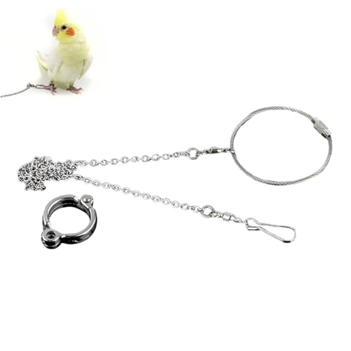 Pet Papageien-Knöchelfuß-Ketten, Edelstahl, Vogelringe, Outdoor-Fliegen, Training, Aktivität, Öffnungsständer, Vogelzubehör