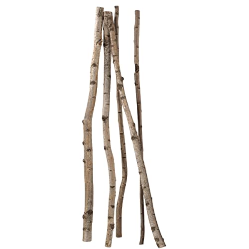 Deko Birkenstämme 170 cm, 5 Stück Natur Deko-Holz Baumstämme Birken Naturdekorationen Herbstdekoration