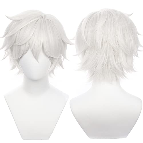 Anime Grau Weiß Cosplay Perücke Rollenkostüm Perücke Kurzes Lockiges Haar für Männer Halloween Party Unisex Erwachsene Anime-Liebhaber