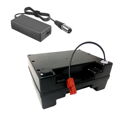 SSCYHT Li-Ion Akku 24V 12Ah 10Ah Elektro Rollstuhl Akku 24V 20Ah 15Ah 50Ah 40Ah Ersatzbatterien mit Ladegerät und Halter,24v18ah 115mm