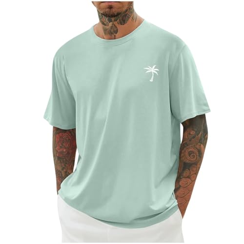 Shirt Herren, Kleidung Herren, Mens Tshirt, White Shirt, Slim fit Tshirt Herren, Herren Tshirt 4XL, Tshirt Herren blau, t-Shirts für Herren v-Ausschnitt, t Shirt schwarz Herren, Herren t Shirt