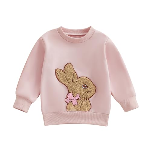 WERNZATT Kinder Mädchen Jungen Sweatshirts Baby Ostern Outfits Brief Ostereier Stickerei Crewneck Langarm Tops Pullover Frühling Kleidung (Pink 3, 2-3 Years)