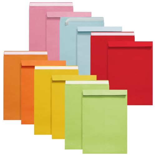12 Stück 22,9 x 30,5 cm selbstklebende Katalogumschläge, farbige Business-Umschläge, große Einladungsumschläge für Versandpapier, Dokumentenumschläge