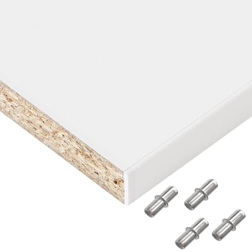 HausFux Einlegeboden, Regalboden nach Maß - 1,9 cm Starke Spanplatte, melaminbeschichtet, einseitige ABS-Kante - Made in Germany - Maßanfertigung - für Möbelbau (ICY White, 50 x 40 cm)