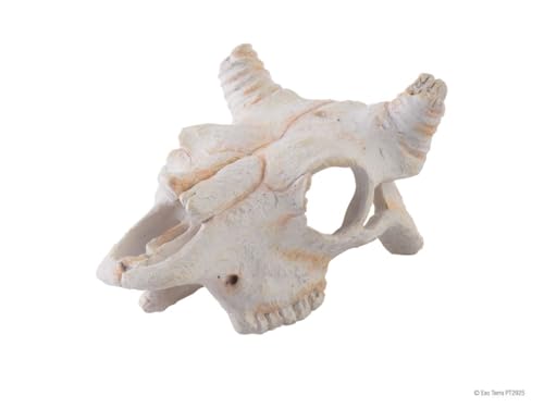 Exo Terra Büffelschädel, sicheres Versteck für Reptilien und Amphibien, klein, 1 Stück (1er Pack)