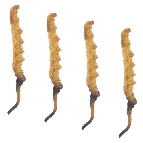 HANABASS 4 Stück Cordyceps -Modell Modell Der Chinesischen Medizin Arztkoffer Arztzubehör Medizinische Spielzeugartikel Arzt Rollenspiel Requisiten Plastik