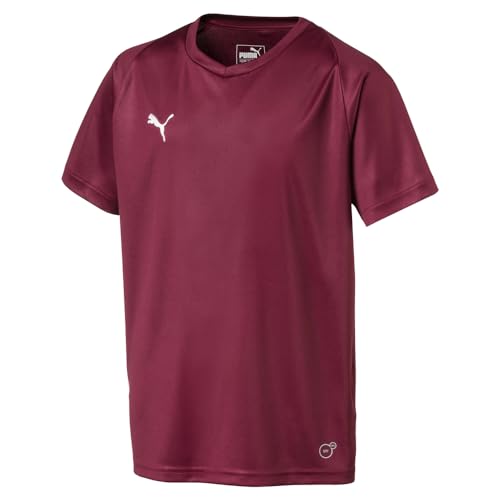 Puma - PUMA - Kinderliga Jersey Core Jr, X-Small, Cordovan/Puma White