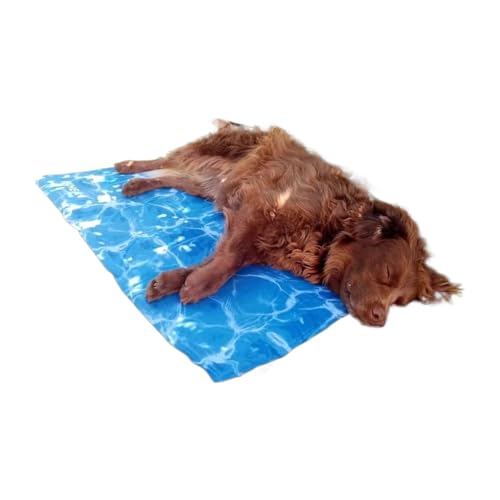 Kühlkissen für Hunde, tragbare Haustier-Kühlmatte, Haustiermöbel für Büros, Welpen, Hinterhof, Seniorenhaus, Wohnzimmer, kleine, mittelgroße Katze