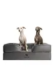 NOAH & PAW Großes Hundebett, orthopädisches Hundebett, Eierschalen-Memory-Schaum mit kühlendem Gel, Innenbezug, wasserdicht, maschinenwaschbar (Samt-Sofa-Kollektion)