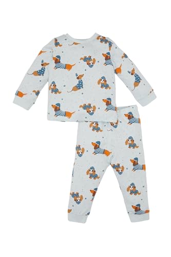 DeFacto Schlafanzüge für Baby Jungen, Pyjama Baby Jungen, Bekleidungssets für Baby-Jungen Gemütliche Nachtwäsche für die Kleinen Helden,Lt.blue,9-12 Monate