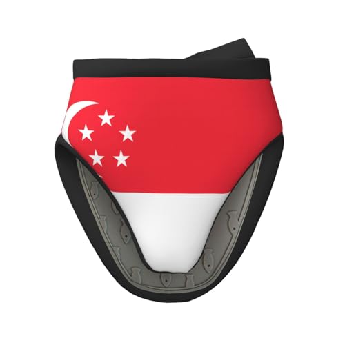 1 x Mini-Silikon-Ofenhandschuhe, Topflappen-Set mit Singapur-Flagge, hitzebeständig, ideal zum Backen, Kochen und Camping