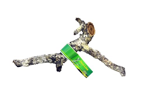 Lucky Reptile Tronchos - Korkäste, Größe:30-40 cm