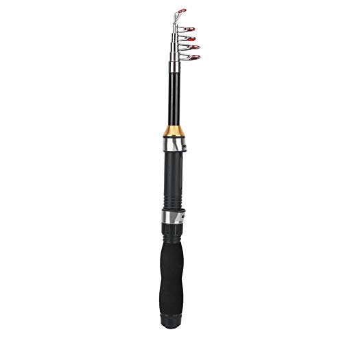 Ejoyous 1,2m Teleskop Angelrute, Tragbare Mini-Taschen-Angelrute Stiftrute Angelrute Eisangelrute Mini-Seeangel-Werkzeuge Einziehbare Jigging-Rute für Reise Meerwasser Süßwasser Bass Forelle Angeln