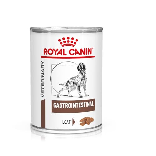 ROYAL CANIN Veterinary Gastrointestinal Mousse | 12 x 400 g | Diät-Alleinfuttermittel für ausgewachsene Hunde | Zur Unterstützung bei akuten Resorptionsstörungen des Darms